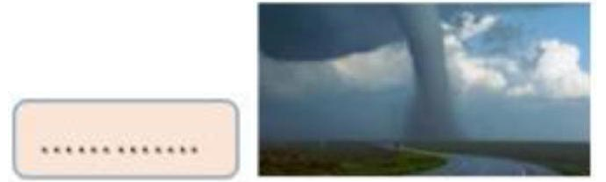 Em hãy chọn các tiếng để ghép thành từ phù hợp với tranh: (ảnh 1)