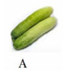 Loại quả nào dưới đây có vần 