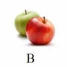 Loại quả nào dưới đây có vần 