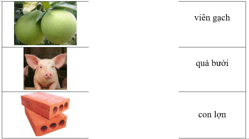 Hãy ghép hình ảnh với từ tương ứng. (ảnh 1)