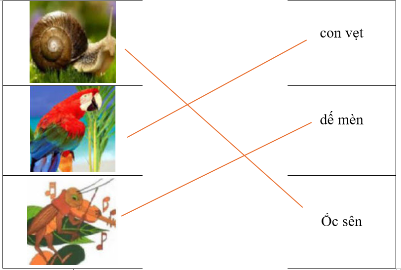 Hãy ghép hình ảnh với từ tương ứng. (ảnh 2)