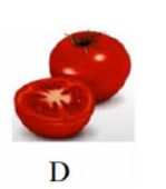 Loại quả nào dưới đây có vần 