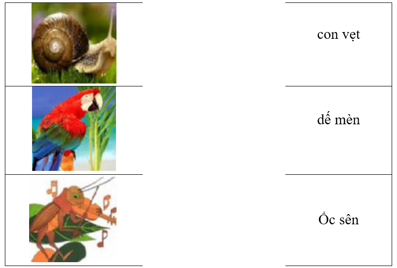 Hãy ghép hình ảnh với từ tương ứng. (ảnh 1)