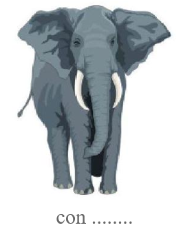 Điền tên con vật thích hợp vào chỗ trống: (ảnh 1)