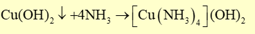 Nhỏ từ từ dung dịch NH3 cho đến dư vào ống nghiệm đựng dung dịch CuSO4. Hiện tượng quan sát được là (ảnh 2)