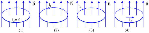 Một vòng dây đặt cố định trong từ trường đều. Khi độ lớn cảm ứng từ \(B\)  (ảnh 1)