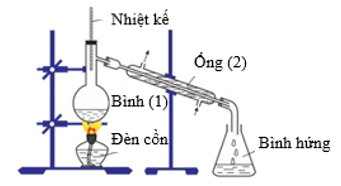Trong phòng thí nghiệm người ta điều chế isoamyl acetate (Y) theo sơ đồ hình vẽ: (ảnh 1)