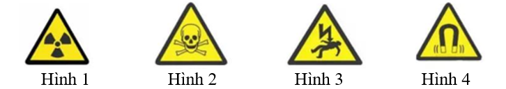 Từ trường mạnh có thể ảnh hưởng đến sức khỏe của con người như gây chóng mặt, buồn nôn.  (ảnh 1)