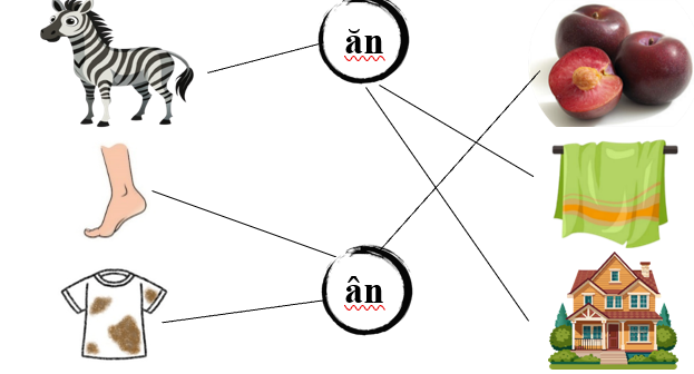 Nối đúng các hình dưới : (ảnh 2)