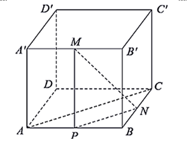Cho hình hộp chữ nhật ABCD.A'B'C'D' (ảnh 1)