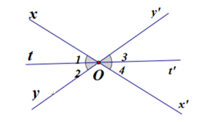 Cho hình vẽ dưới đây biểu diễn định lí: “Hai tia phân giác của hai góc đối đỉnh là hai tia đối nhau”. (ảnh 1)