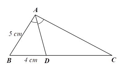 Cho hình vẽ bên. Tỉ số AC/CD bằng (ảnh 1)
