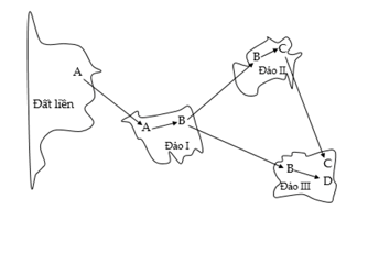 I. Các cá thể của loài B ở đảo II có thể mang một số allele đặc trưng mà các cá thể của loài B ở đảo I không có. (ảnh 1)