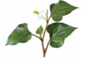 Em hãy điền tiếng chứa vần 