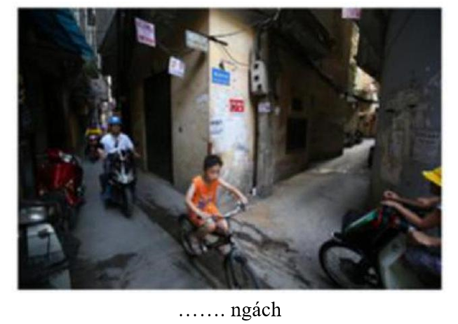 Em hãy chọn tiếng thích hợp điền vào chỗ chấm để được từ ngữ phù hợp với hình ảnh sau: (ảnh 1)