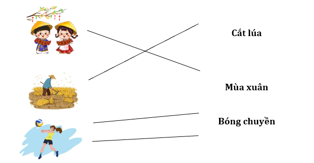 Nối đúng các hình sau: (ảnh 2)