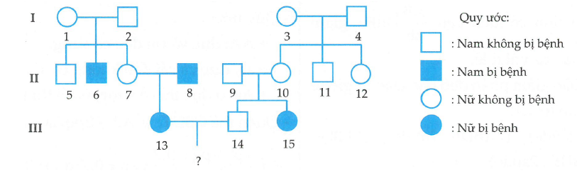 Người ta theo d&otilde;i sự di truyền của bệnh Phenylketonuria trong một gia đ&igrave;nh v&agrave; biểu diễn trong phả hệ (ảnh 1)