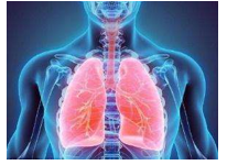 Khi thở ra, dung tích của phổi là 2,40 lít và áp suất của khí trong phổi (ảnh 1)