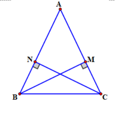Trên mặt phẳng toạ độ Oxy cho tam giác ABC có hai đường cao là BM (ảnh 1)