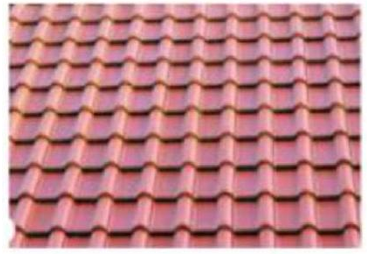 Em hãy chọn từ ngữ phù hợp với tranh: (ảnh 1)