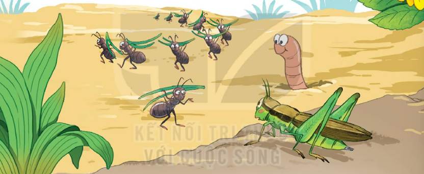 B&agrave;i 15: Ng&agrave;y như thế n&agrave;o l&agrave; đẹp Tiếng Việt lớp 3 Tập 2 | Kết nối tri thức