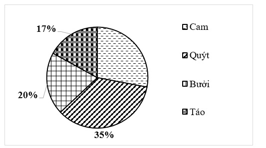 Sử dụng biểu đồ tỉ lệ phần trăm loại quả được bán ra trong ngày của một cửa hàng. (ảnh 1)