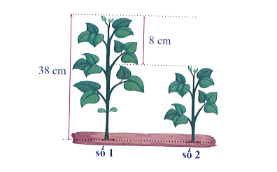Viết ph&eacute;p t&iacute;nh th&iacute;ch hợp: (ảnh 1)