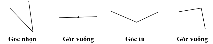 Điền tên góc thích hợp. (ảnh 2)