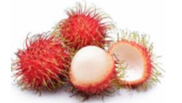 Điền chữ thích hợp vào chỗ trống: (ảnh 1)