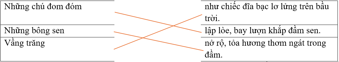 Dựa vào bức tranh sau, em hãy ghép nội dung thích hợp ở hai vế với nhau. (ảnh 3)