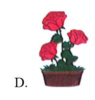 Chậu có nhiều hoa nhất là: (ảnh 5)