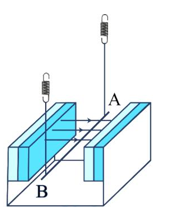 Một đoạn dây dẫn AB có khối lượng 0,01 kg được treo nằm ngang bằng các lò xo trong từ trường (ảnh 1)