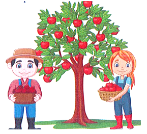 Bài tập cuối tuần Toán lớp 1 Kết nối tri thức Tuần 34 có đáp án (ảnh 1)