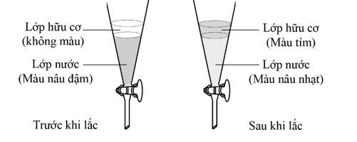 Thêm hexane (một hydrocarbon trong phân tử có 6 nguyên tử carbon) vào dung dịch iodine trong nước (ảnh 1)