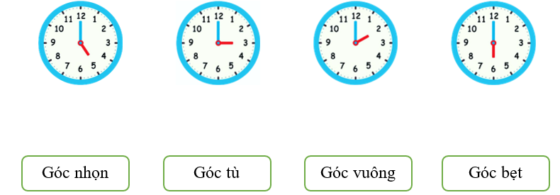 Nối kim đồng hồ tạo thành tên góc thích hợp (ảnh 1)