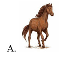 Tên những con vật nào có âm