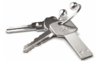 Em hãy chọn từ phù hợp với tranh: (ảnh 1)