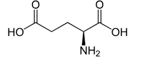 Glutamic acid là một trong 20 amino acid cần thiết cho cơ thể, giữ vai trò quan trọng trong quá trình trao đổi chất của cơ thể (ảnh 1)