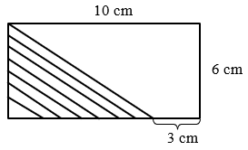 Diện tích phần gạch chéo trong hình chữ nhật dưới đây là: (ảnh 1)