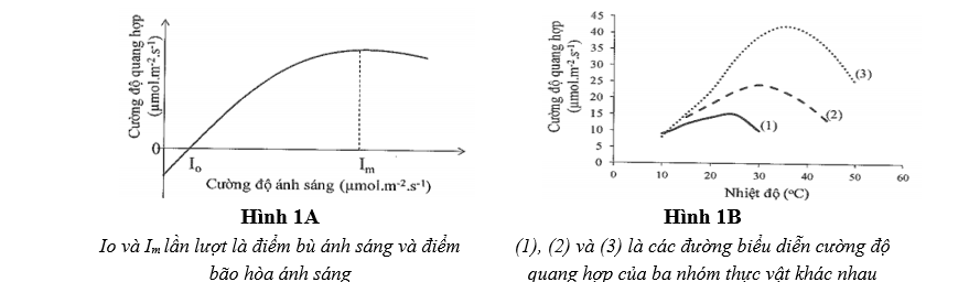 Mối quan hệ giữa cường độ quang hợp với cường độ ánh sáng và nhiệt độ được minh họa trong các hình 1A và 1B dưới đây. Trong đó, cường độ quang hợp được tính theo hàm lượng CO2 cây hấp thụ (đo tại thời điểm hấp thụ). (ảnh 1)