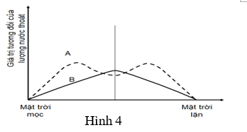 Hình 4 biểu diễn quá trình thoát hơi nước của một cây C3 trong một ngày nắng ráo. Các đường cong A, B chỉ các con đường thoát hơi nước qua lá. (ảnh 1)