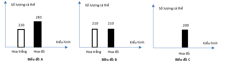 Trong quần thể thực vật, màu hoa được xác định bởi 2 gen nằm trên 2 cặp nhiễm sắc thể thường khác nhau.  (ảnh 1)