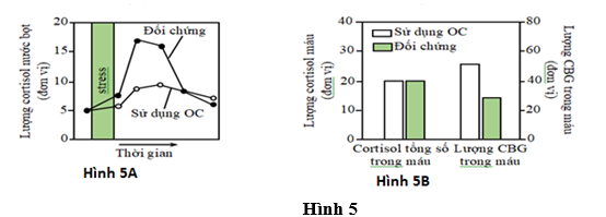 Globulin liên kết với cortisol (CBG, Cortisol binding globulin) là một loại protein vận chuyển cortisol trong máu. Để tìm hiểu về sự ảnh hưởng của thuốc tránh thai đường uống (OC, oral contranceptive) đến khả năng đáp ứng stress của cơ thể (ảnh 1)