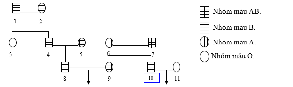 Ở người, tính trạng nhóm máu do gen I nằm trên NST thường quy định. Gen I có 3 alen là IA, IB, I0, trong đó IA và IB đều trội so với I0 nhưng không trội so với nhau. (ảnh 1)