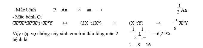 Cho sơ đồ phả hệ sau:     Bệnh P được quy định bởi gene trội nằm trên NST thường; bệnh Q được quy định bởi gene lặn nằm trên NST giới tính X, không có allele tương ứng trên Y. (ảnh 2)