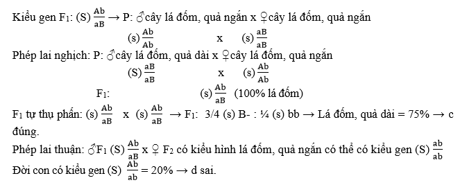 Một loài thực vật, cho lai giữa 2 cây thuần chủng (P): + Phép lai thuận: P: ♂cây lá đốm, quả ngắn x ♀cây lá đốm, quả dài, đời F1 có 100% cây lá xanh, quả dài. (ảnh 1)