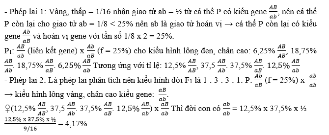 Ở một loài động vật, xét 2 tính trạng màu lông và chiều cao chân. Mỗi tính trạng do 1 gene có 2 allele trội lặn hoàn toàn, nằm trên NST thường quy định.  (ảnh 2)