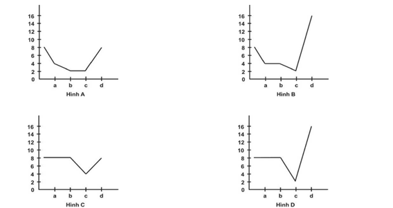 Một tế bào sinh dục ở loài ruồi giấm có bộ nhiễm sắc thể 2n = 8, tiến hành nguyên phân hai lần, các tế bào con được tạo ra tiếp tục đi vào quá trình giảm phân.  (ảnh 1)