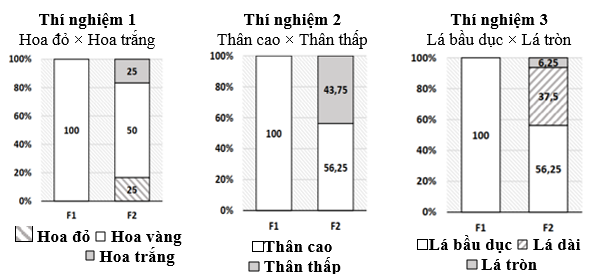 Ở một loài thực vật có hoa, xét ba tính trạng khác nhau: màu sắc hoa, chiều dài thân và hình dạng lá; mỗi tính trạng tuân theo một quy luật di truyền khác nhau và các gene quy định các tính trạng phân li độc lập với nhau.  (ảnh 1)