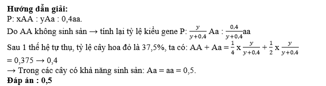 Một quần thể tự thụ ở một loài thực vật xét một gen hai allele A qui định hoa đỏ trội hoàn toàn so với a qui định hoa trắng. Thế hệ bố mẹ trong quần thể có kiểu hình hoa đỏ chiếm 60%, biết cây hoa đỏ thuần chủng không có khả năng sinh sản. (ảnh 1)
